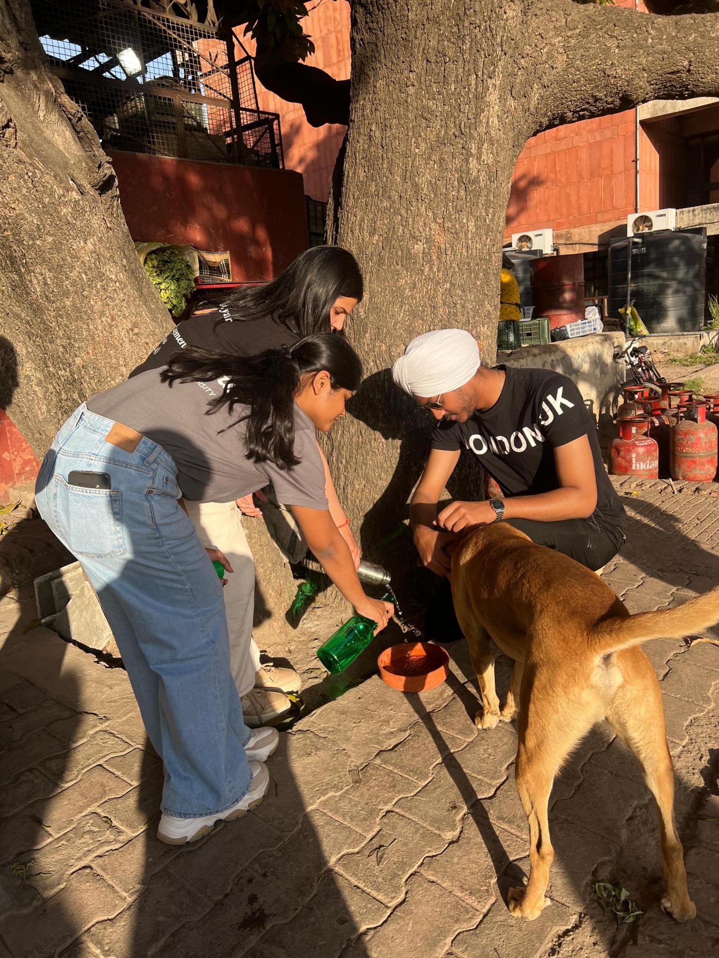 ਪੀਯੂ ਦੀ ਐਨੈਕਟਸ ਟੀਮ ਨੇ ਰੋਟਰੈਕਟ ਕਲੱਬ ਚੰਡੀਗੜ੍ਹ ਦੇ ਸਹਿਯੋਗ ਨਾਲ ਅਵਾਰਾ ਪਸ਼ੂਆਂ ਲਈ ਮਿੱਟੀ ਦੇ ਪਾਣੀ ਦੇ ਕਟੋਰੇ ਲਗਾਏ